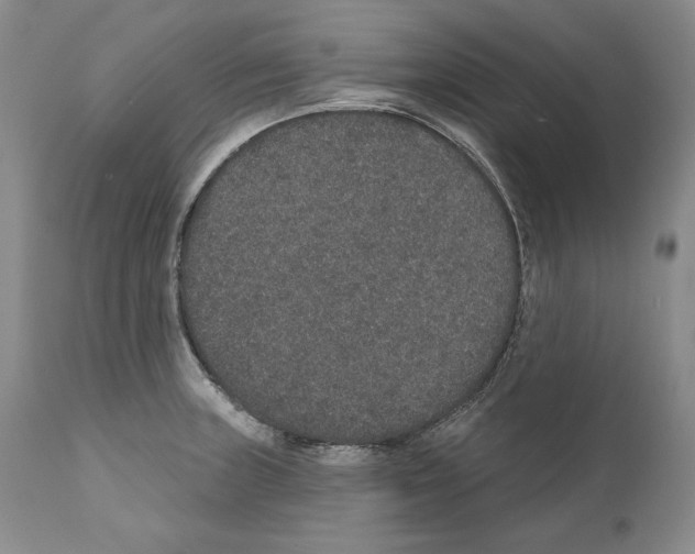 X0000110761235200907131202