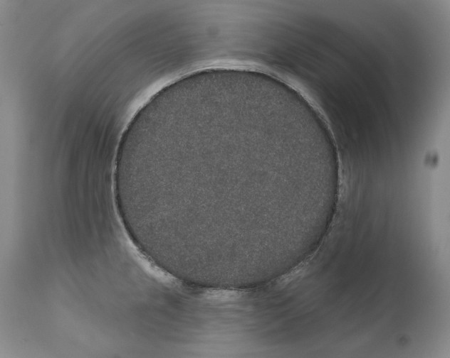 X0000110761237200907131202