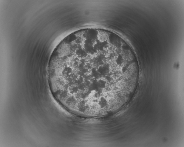 X0000110761239200907131202