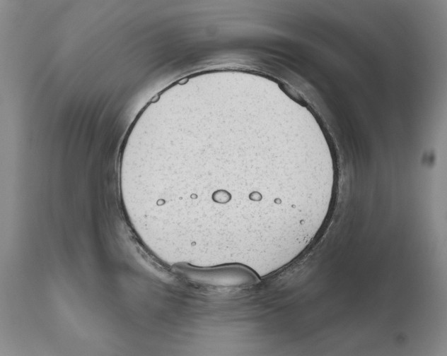 X0000110761242200907131202