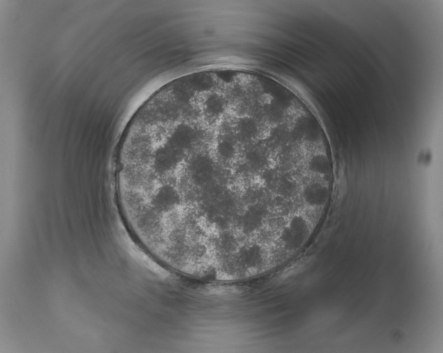 X0000110761243200907131202