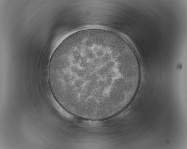 X0000110761244200907131202