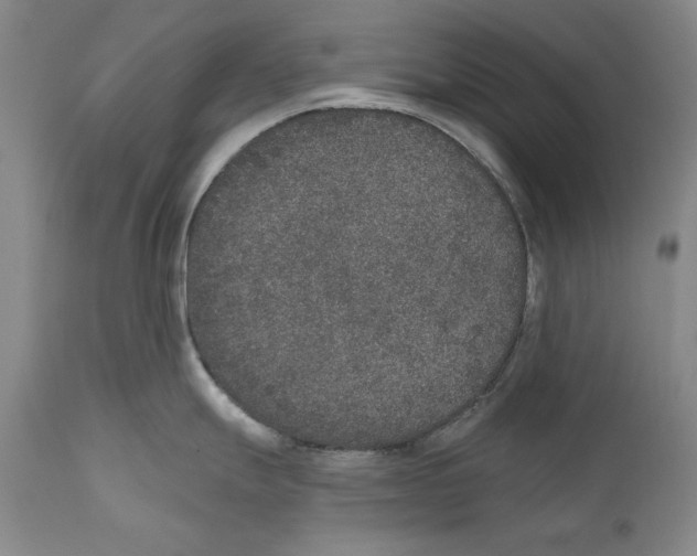 X0000110761247200907131202