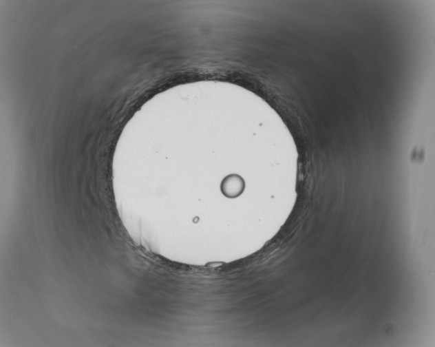 X0000110761249200907131201