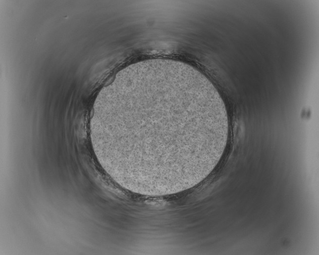 X0000110761250200907131201