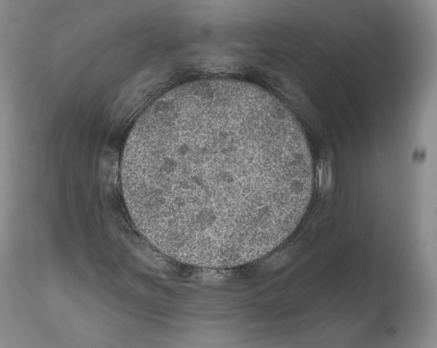 X0000110761251200907131201