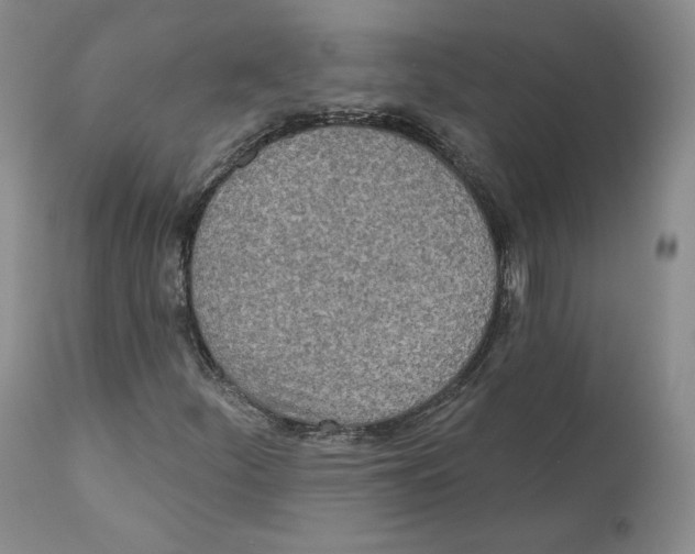 X0000110761252200907131201