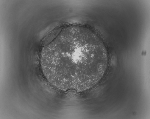 X0000110761253200907131201