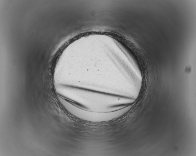 X0000110761256200907131201
