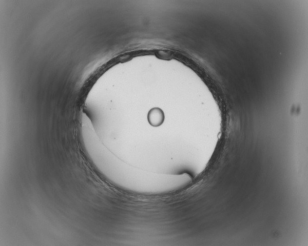 X0000110761261200907131201