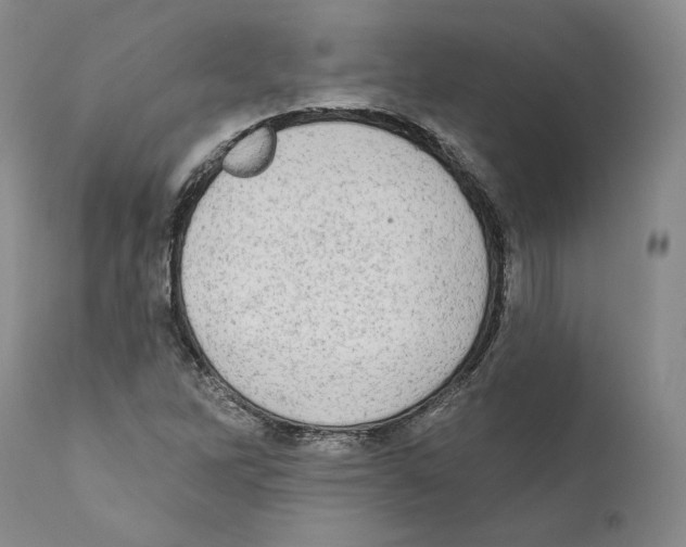 X0000110761262200907131201