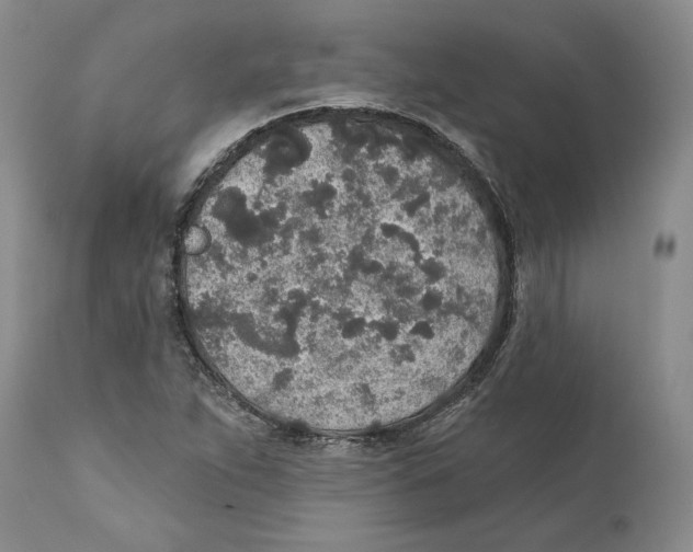 X0000110761263200907131201