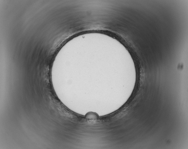 X0000110761265200907131201
