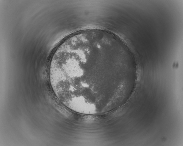 X0000110761266200907131201