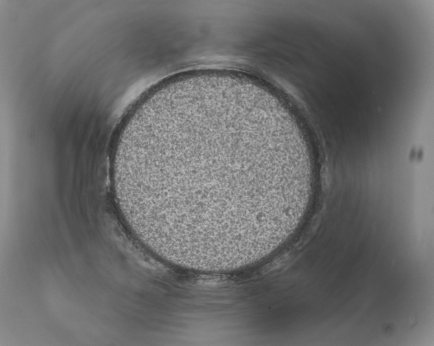 X0000110761267200907131201