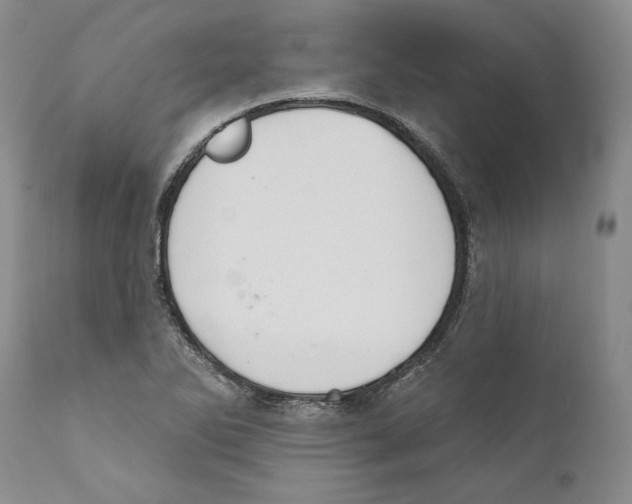 X0000110761270200907131201