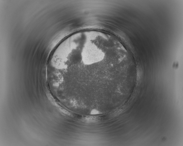 X0000110761274200907131201