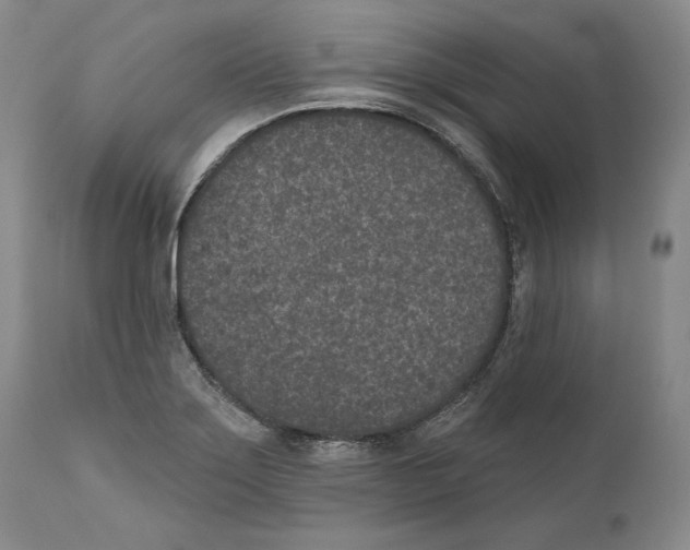 X0000110761275200907131201