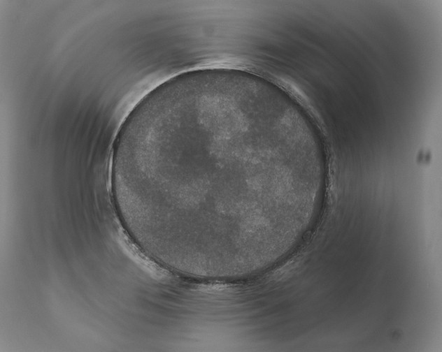 X0000110761276200907131201