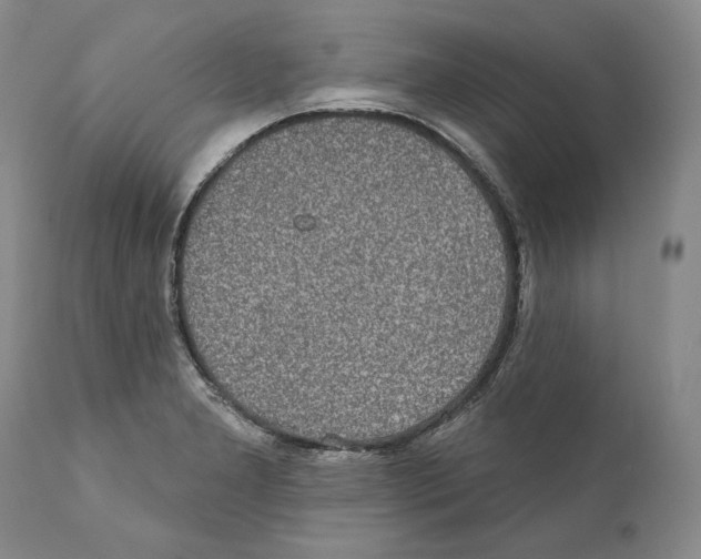 X0000110761277200907131201