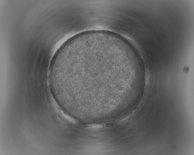 X0000110761278200907131201