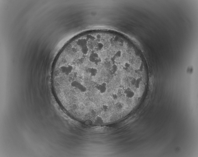 X0000110761279200907131201