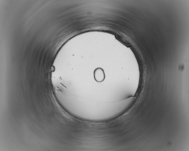 X0000110761281200907131201