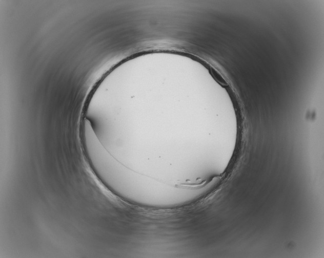 X0000110761285200907131200
