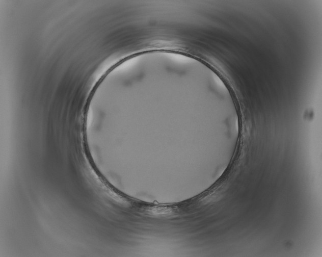 X0000110761291200907131200