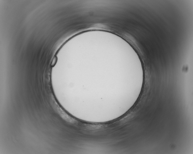 X0000110761292200907131200