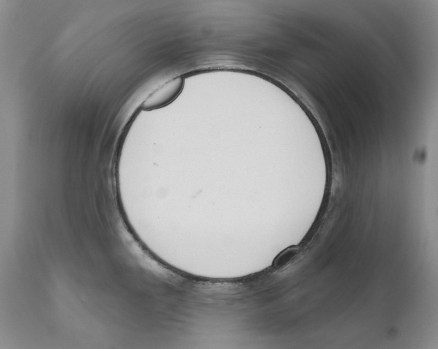 X0000110761293200907131200