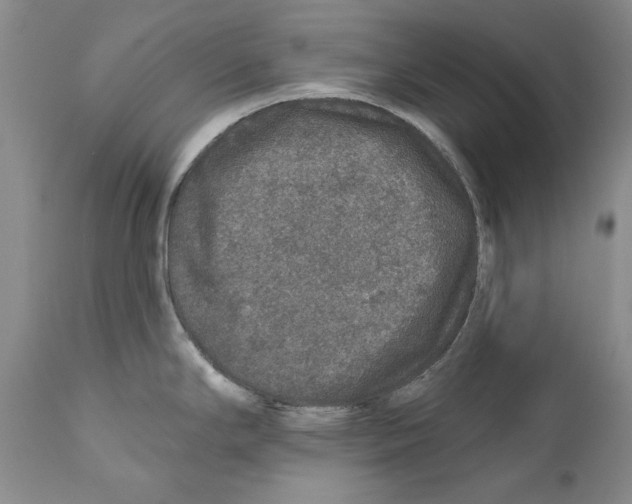 X0000110761294200907131200