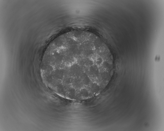 X0000110761297200907131200
