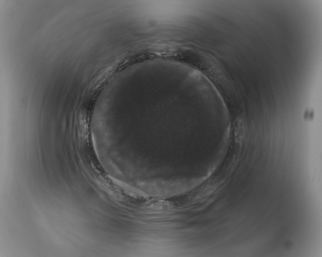 X0000110761298200907131200