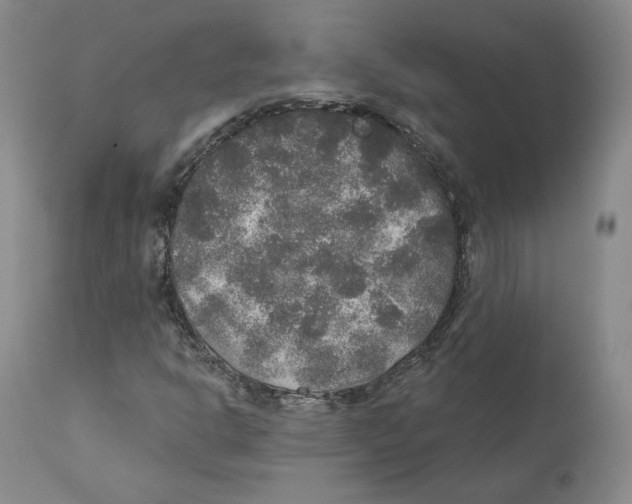 X0000110761302200907131200
