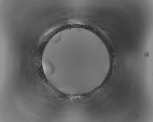 X0000110761303200907131200