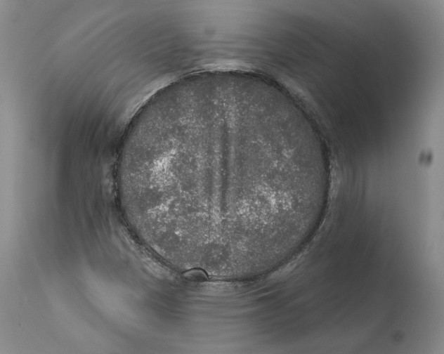 X0000110761305200907131200