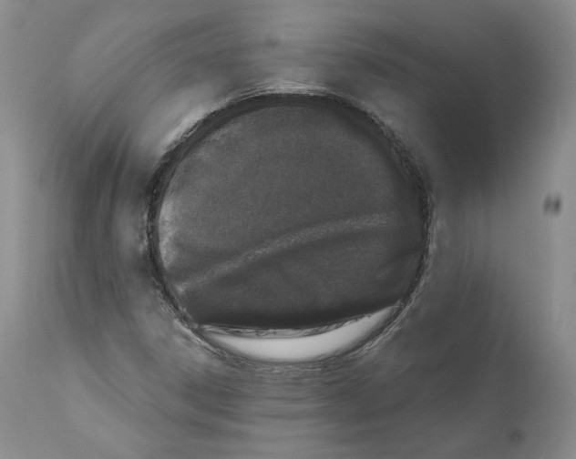 X0000110761306200907131200