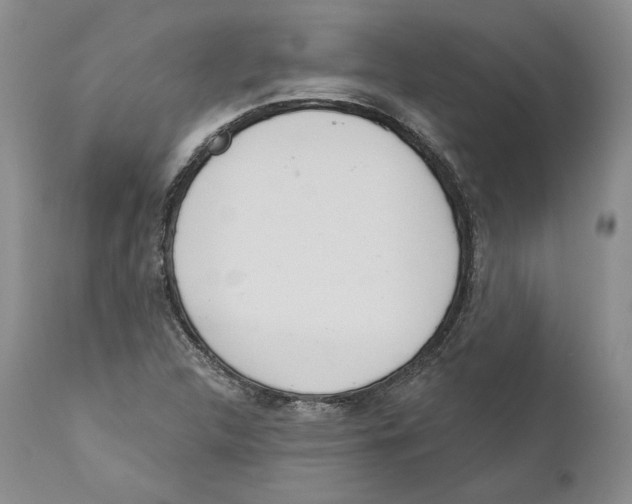 X0000110761312200907131200