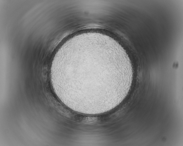 X0000110761313200907131200