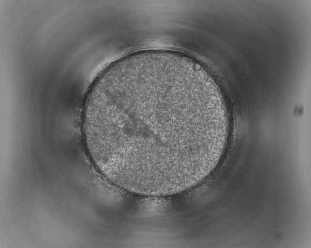 X0000110761314200907131200