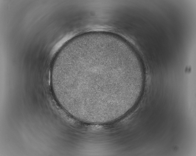 X0000110761317200907131200