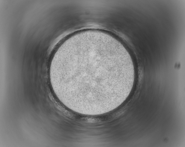 X0000110761318200907131200