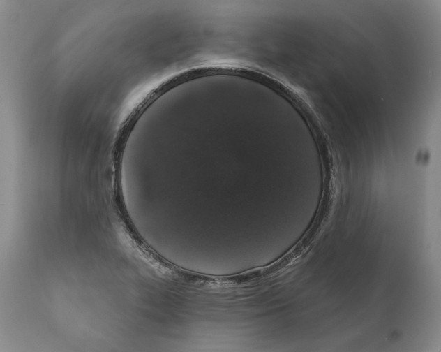 X0000110761319200907131200
