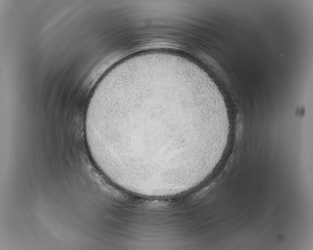 X0000110761321200907131200