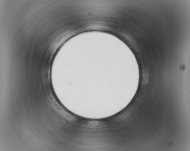 X0000110761322200907131200