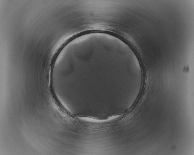 X0000110761323200907131200