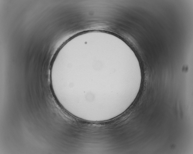 X0000110761324200907131200