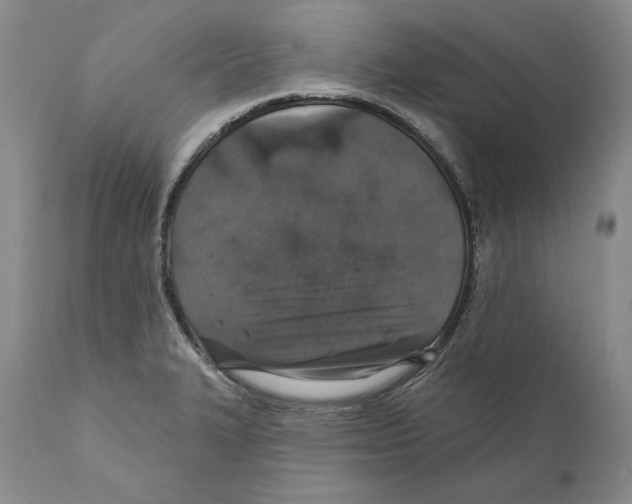 X0000110761327200907131200