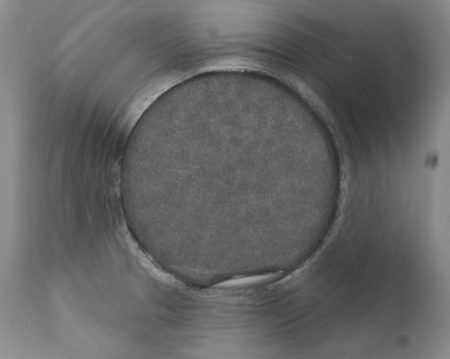 X0000110761329200907131200